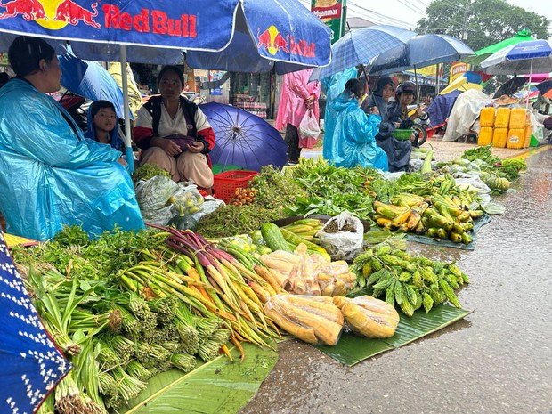 082324_lashio (6).jpeg