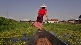 အင်းလေး ရေပေါ်စိုက်ခင်းတွေကြားက မိခင်ကို လုပ်ကျွေးနေတဲ့ "ဖယောင်း"