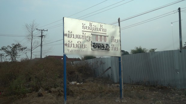 ຊາວສວນມັນຕົ້ນ ຈໍາເປັນຕ້ອງຂາຍມັນຕົ້ນ ໃນລາຄາຖືກ
