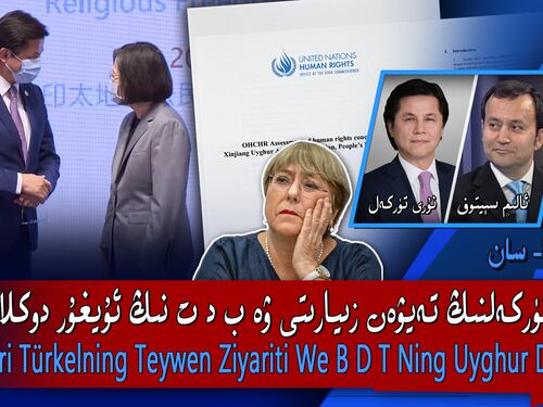 نۇرى تۈركەلنىڭ تەيۋەن زىيارىتى ۋە ب د ت نىڭ ئۇيغۇر دوكلاتى | نەزەر 80-سان