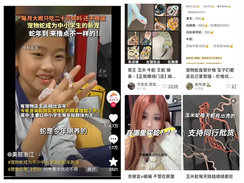 撸蛇