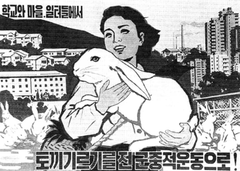 In this August 1999 photo from North Korea's official Korean Central News Agency, a poster encourages citizens to "Raise rabbits at school, your village and at your workplace and make it into a mass movement."