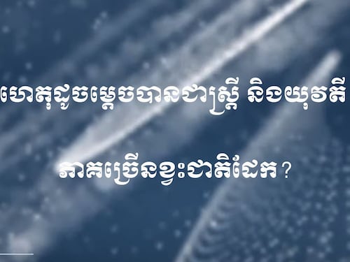ហេតុដូចម្តេចបានជាស្ត្រីនិងយុវតី ភាគច្រើនខ្វះជាតិដែក?