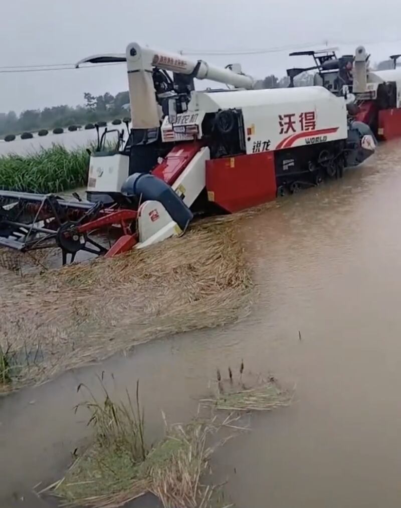 河南南部连续六天降雨,图为收割机泡在水中,成熟的麦子很快就会发芽。(网络截图/古亭提供)