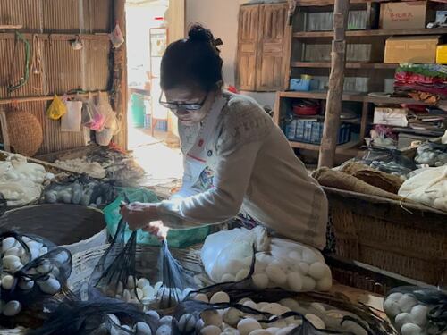 អ្នកភូមិត្រពាំងទម្លាប់ខេត្តតាកែវប្រកបអាជីពភ្ញាស់ពងទាកូនលក់ដោះស្រាយជីវភាព