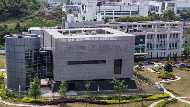 中科院武汉病毒研究所(法新社图片)