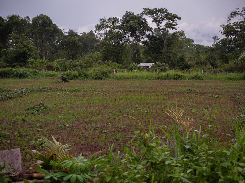 INV_CambodianCarbonScheme_022824.4.jpg