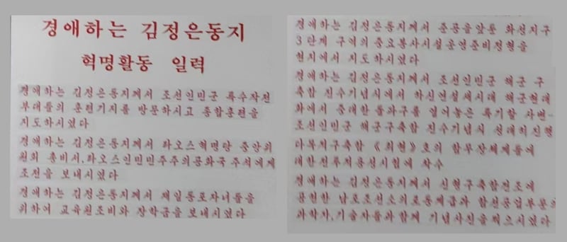 북한 당국이 배포한 일일 활동을 정치 선전물