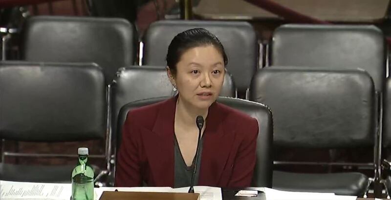 华盛顿智库“战略与国际研究中心”(CSIS)中国实力项目主任林洋(Bonny Lin)。(听证会视频截图)