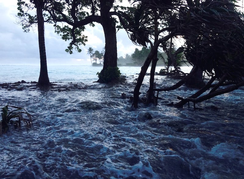 ENG_ENV_ICJ VANUATU_10212024_2.jpg