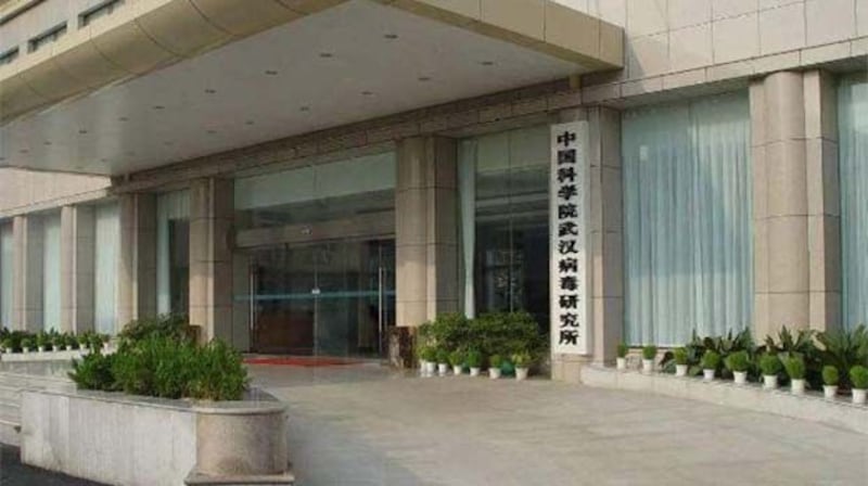 中国科学院武汉病毒研究所四级实验室被认为有可能正在研究世界上最危险的病原体(链闻)