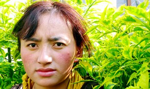 ༢༠༠༨་ལོའི་ལས་འགུལ་བ་ཞིག་བཙན་བྱོལ་དུ་འབྱོར་ཡོད་པ། ༢༠༠༨་ལོའི་ལས་འགུལ་བ་ཞིག་བཙན་བྱོལ་དུ་འབྱོར་ཡོད་པ།