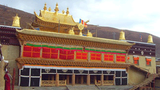 རྒྱ་ནག་གི་སྲིད་ཇུས་ལ་ངོ་རྒོལ།