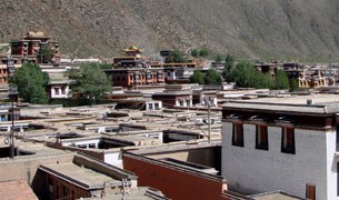 སློབ་གསོའི་ཚབ་ཏུ་སྐྱོན་བརྗོད། སློབ་གསོའི་ཚབ་ཏུ་སྐྱོན་བརྗོད།