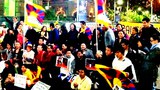 ཨོ་སི་ཊེ་ལི་ཡའི་ནང་ངོ་རྒོལ།