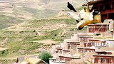 དཀར་མཛེས་ཁུལ་དུ་དམ་བསྒྲཊ།