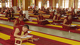 དགེ་ལུགས་རྒྱུགས་སྤྲོད་ཆེན་མོ།