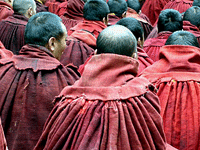 sera-monks-200.gif sera-monks-200.gif