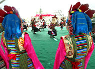 lhamo-150.jpg