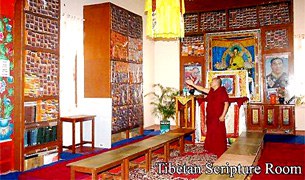 སེར་བྱེས་མཁས་བསྙན་གྲྭ་ཚང་གི་དཔེ་མཛོད་ཁང་། སེར་བྱེས་མཁས་བསྙན་གྲྭ་ཚང་གི་དཔེ་མཛོད་ཁང་།
