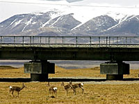 tibet-train-environment-200.jpg tibet-train-environment-200.jpg