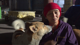 བཙུན་མ་དགའ་དབྱིངས་ལྷ་མོ་ལགས་ཀྱིས་གནས་མཆོག་རྡོ་རྗེ་གདན་དུ་བདག་མེད་ཀྱི་ཁྱི་དང་རྒྱ་གར་ཡུལ་མི་ཉམ་ཐག་ཁག་ཅིག་ལ་ཟས་སྦྱིན་གཏོང་བཞིན་པ།