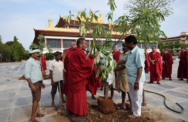 ཤིང་སྣ་འདྲ་མིན་འདེབས་འཛུགས་ཀྱི་ལས་གཞི། ཤིང་སྣ་འདྲ་མིན་འདེབས་འཛུགས་ཀྱི་ལས་གཞི།