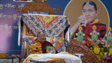 ལྷོ་ཁའི་སེར་སྐྱ་མི་དམངས་ནས་དཔལ་ས་སྐྱ་༧གོང་མ་ཁྲི་ཆེན་རྡོ་རྗེ་འཆང་ཆེན་པོ་མཆོག་ལ་གྱ་སྟོན་བརྟན་བཞུགས་འབུལ་ལམ་ཞུས་པ།