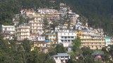 ལོ་གཅིག་རིང་དམར་ཟས་སྤོང་རྒྱུ།