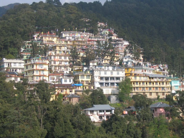 ལོ་གཅིག་རིང་དམར་ཟས་སྤོང་རྒྱུ།