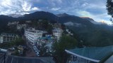 ཤིང་སྣ་འདེབས་བཙུགས་ཀྱི་ལས་འགུལ་སྤེལ་བ།
