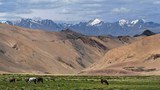 ལ་དྭགས་བྱང་ཐང་གི་ངོ་སྤྲོད།