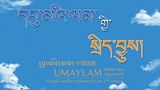དབུ་མའི་ལམ་གྱི་དོན་སྙིང་དང་རིན་ཐང་།