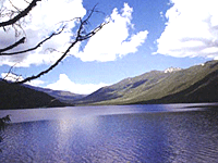 migoe-tso-200.gif migoe-tso-200.gif