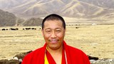 བོད་ཁམས་སྐྱེ་རྒུ་མདོ་ཁུལ་གྱི་ད་ལྟའི་གནས་སྟངས།