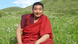 འཇིཌ་མེད་རྒྱ་མཚོའི་གནས་སྟངས།