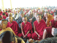 nuns-at-theckenchoeling-200.gif nuns-at-theckenchoeling-200.gif