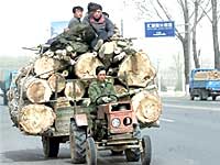 logging-in-tibet-200.jpg logging-in-tibet-200.jpg
