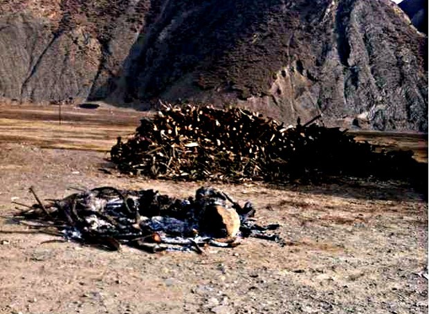 བོད་ནང་རང་ལུས་མེ་སྲེག་༡༡༡། བོད་ནང་རང་ལུས་མེ་སྲེག་༡༡༡།