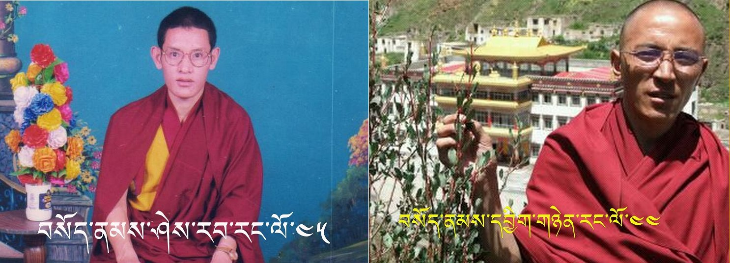 ཉ་མཚོ་དགོན