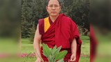 རེབ་གོང་རོང་བོ་དགོན་པའི་ཚོགས་ཆེན་དགེ་བསྐོས་ཟུར་བ་འཇིགས་མེད་བློ་གྲོས་མཆོག་གི་ཉེ་པར།