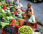 vegetarianism-promotion-150.jpg vegetarianism-promotion-150.jpg