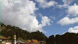 རང་སྲེག་ལས་འགུལ་ཕྱི་ནས་བརྒྱུད་སྐུལ་བྱས་ཟེར།