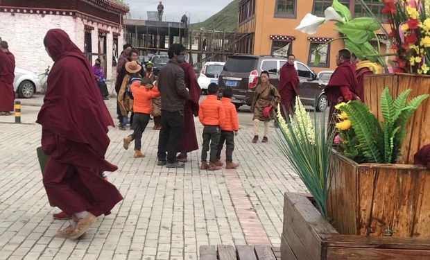 རྫ་ཆུ་ཁ་ཕྱོགས་ཀྱི་དགེ་འདུན་པ་ལོ་ཆུང་མང་པོ་དགོན་པ་ནས་ཕྱིར་ཕུད་གཏོང་བཞིན་པ། ༢༠༡༨།༧