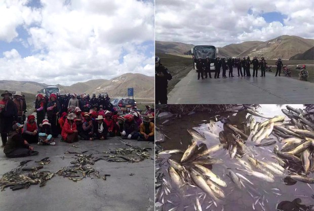 རྒྱ་ནག་གིས་བོད་ནང་གཏེར་རྫས་བསྔོགས་འདོན་བྱས་པ་དེས་བོད་མཐོ་སྒང་གི་སྣོད་བཅུད་ལ་གནོད་སྐྱོན་ཚབས་ཆེ་གཏོང་ཉེན་ཡོད་པ། རྒྱ་ནག་གིས་བོད་ནང་གཏེར་རྫས་བསྔོགས་འདོན་བྱས་པ་དེས་བོད་མཐོ་སྒང་གི་སྣོད་བཅུད་ལ་གནོད་སྐྱོན་ཚབས་ཆེ་གཏོང་ཉེན་ཡོད་པ།