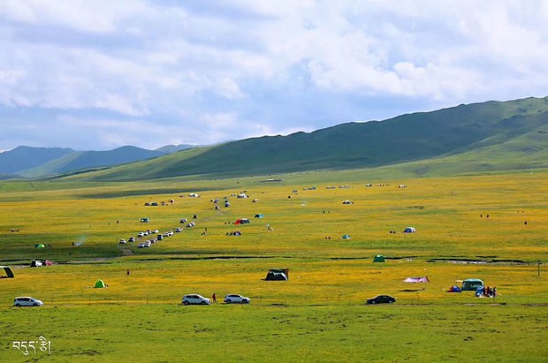 རྩྭ་ཐང་དུ་སེམས་ཅན་འཚོ་སྐྱོང་མི་བཅུག་པ་དེས་འབྲོག་པའི་འཚོ་གནས་ལ་བརྡབ་གསིག་ཤུགས་ཆེར་ཐེབས་བཞིན་ཡོད་འདུག རྩྭ་ཐང་དུ་སེམས་ཅན་འཚོ་སྐྱོང་མི་བཅུག་པ་དེས་འབྲོག་པའི་འཚོ་གནས་ལ་བརྡབ་གསིག་ཤུགས་ཆེར་ཐེབས་བཞིན་ཡོད་འདུག
