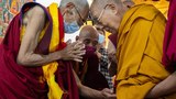 སྤྱི་ནོར་༧གོང་ས་སྐྱབས་མགོན་ཆེན་པོ་མཆོག་འདི་ལོའི་དབྱར་དུས་ལ་དྭགས་སུ་ཆིབས་བསྒྱུར་མཛད་རྒྱུ་ཡིན་འདུག
