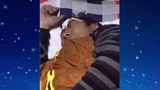 འབྲི་རུའི་ཉེན་རྟོག་པས་ཉེས་རྡུང་བཏང་བའི་བོད་མི་རྣམ་རྒྱལ་བསྟན་འཛིན།