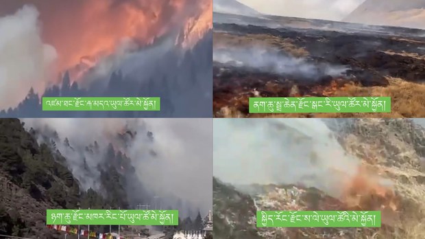 མི་སེར་གྱི་འདྲ་པར། ཕྱོགས་སྒྲིག