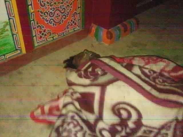 ཀླུ་ཆུ་ནས་མགོན་པོ་ཚེ་རིང་གིས་རང་ལུས་མེ་བསྲེགས།